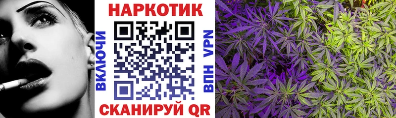 Купить наркотики цена Кировск Кокаин  МЕФ  Alpha-PVP  Амфетамин  ГЕРОИН  Конопля 