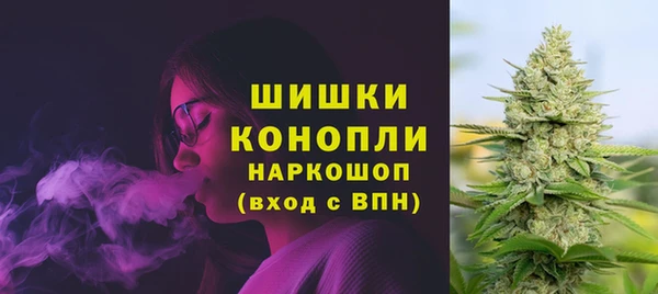 твердый Бронницы
