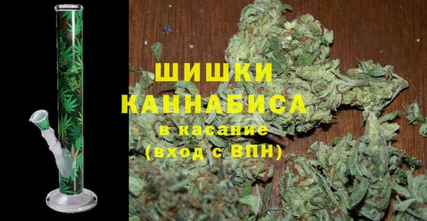 spice Богданович