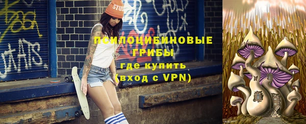 не бодяженный Бородино
