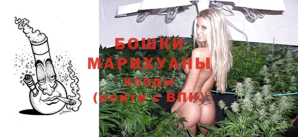 не бодяженный Бородино