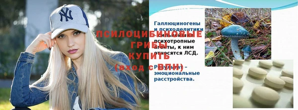 твердый Бронницы